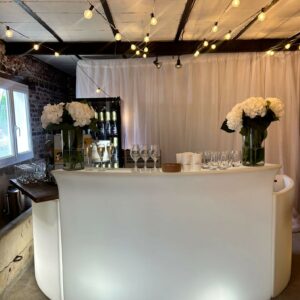 bar lumineux avec 2 ice bar