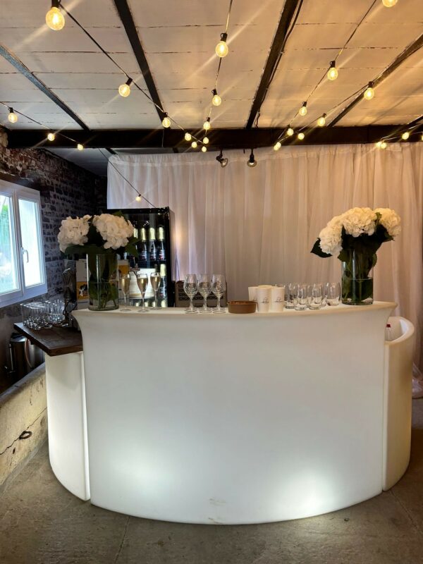 bar lumineux avec 2 ice bar