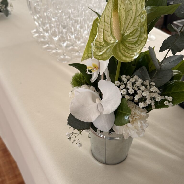 img 7801